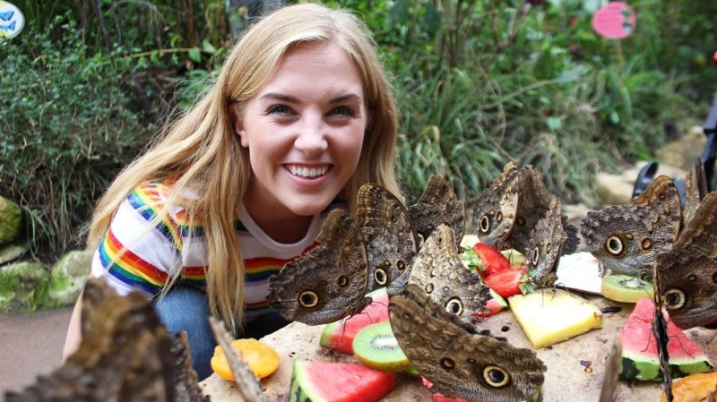 BBC少儿真人科普纪录片神剧Maddie’s Do You Know你知道吗？全五季共98集+番外篇21集 百度网盘下载-儿童教育网