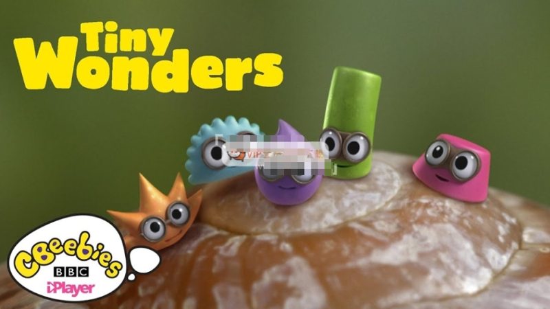 BBC英文科普动画片《Tiny Wonders 小奇迹》全五季共51集 教你学会观察、探索自然界小奇观 080P高清视频带英文字幕 百度网盘下载-儿童教育网