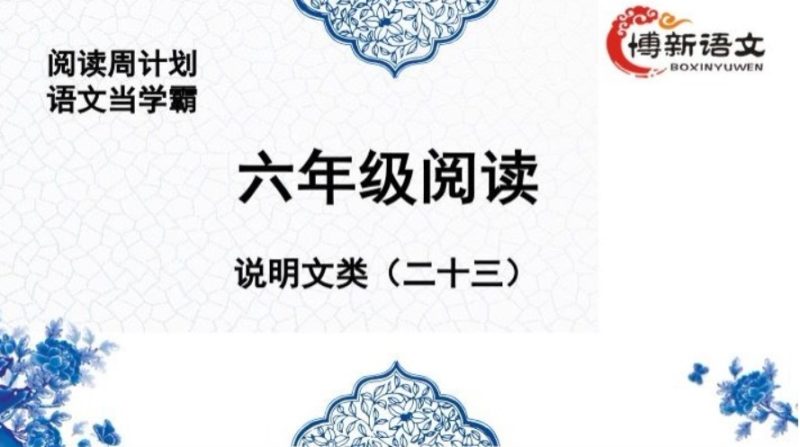 博新 郭郭老师 小学语文六年级阅读提升课（完结）百度网盘下载-儿童教育网